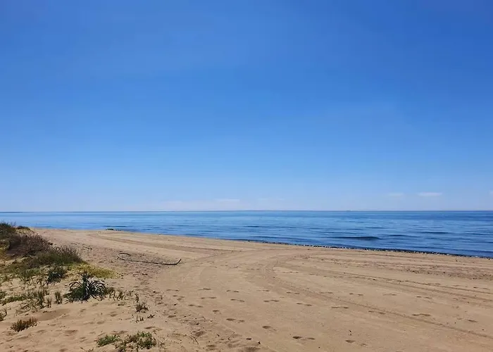 Large Ground Floor With Private Garden And Access