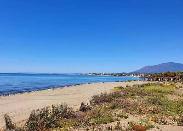 Large Ground Floor With Private Garden And Access